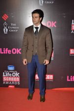 Girish Taurani at Life Ok Screen Awards red carpet in Mumbai on 14th Jan 2015
